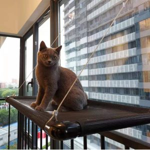 Suction Cup Cat Window Hammock, 3 Styles