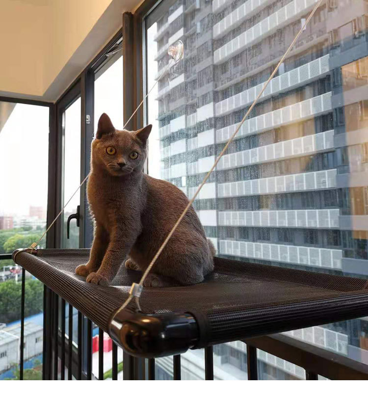 Suction Cup Cat Window Hammock, 3 Styles