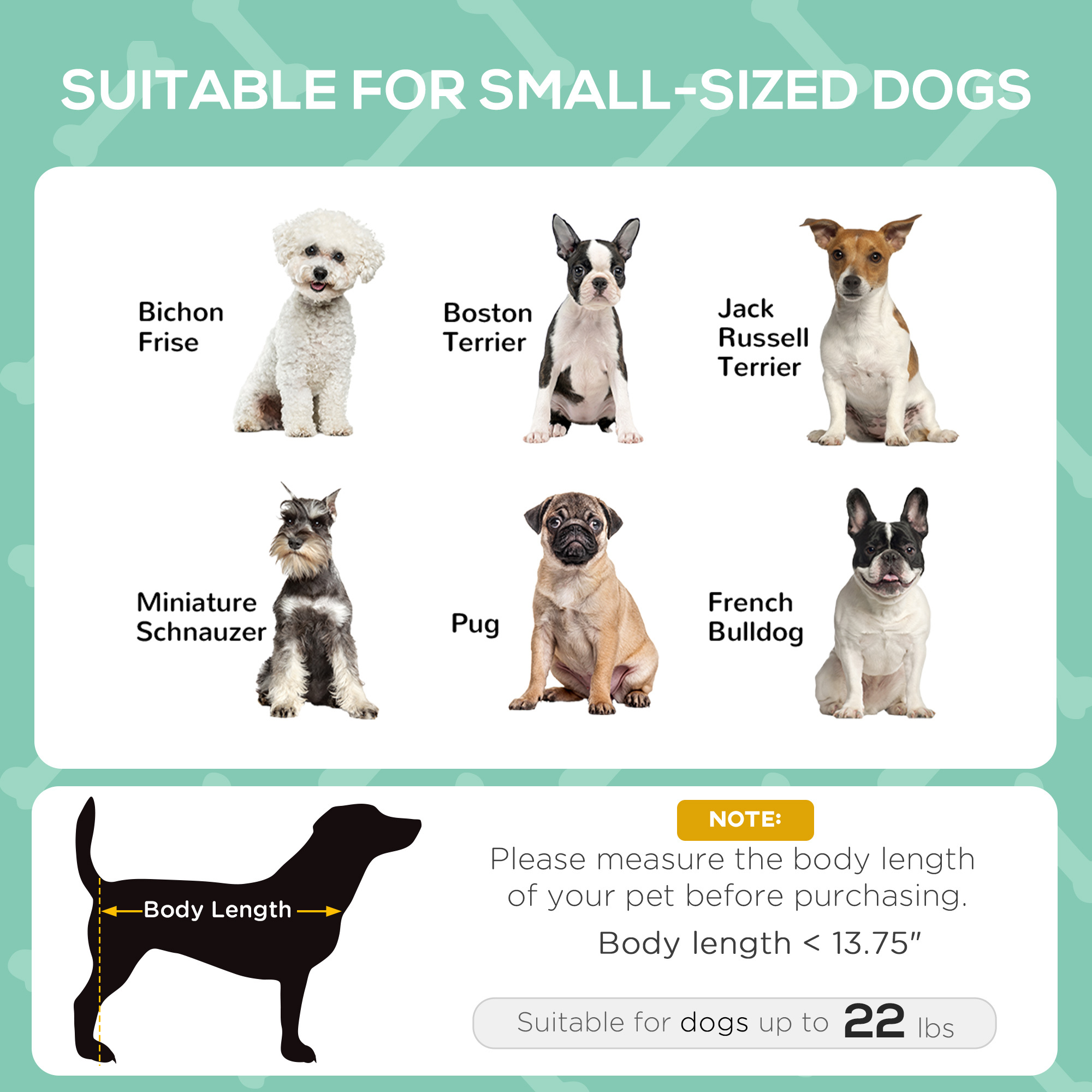 Elevated Dog Bed with Removable Canopy, 24 in, for Small Dogs - Image 5
